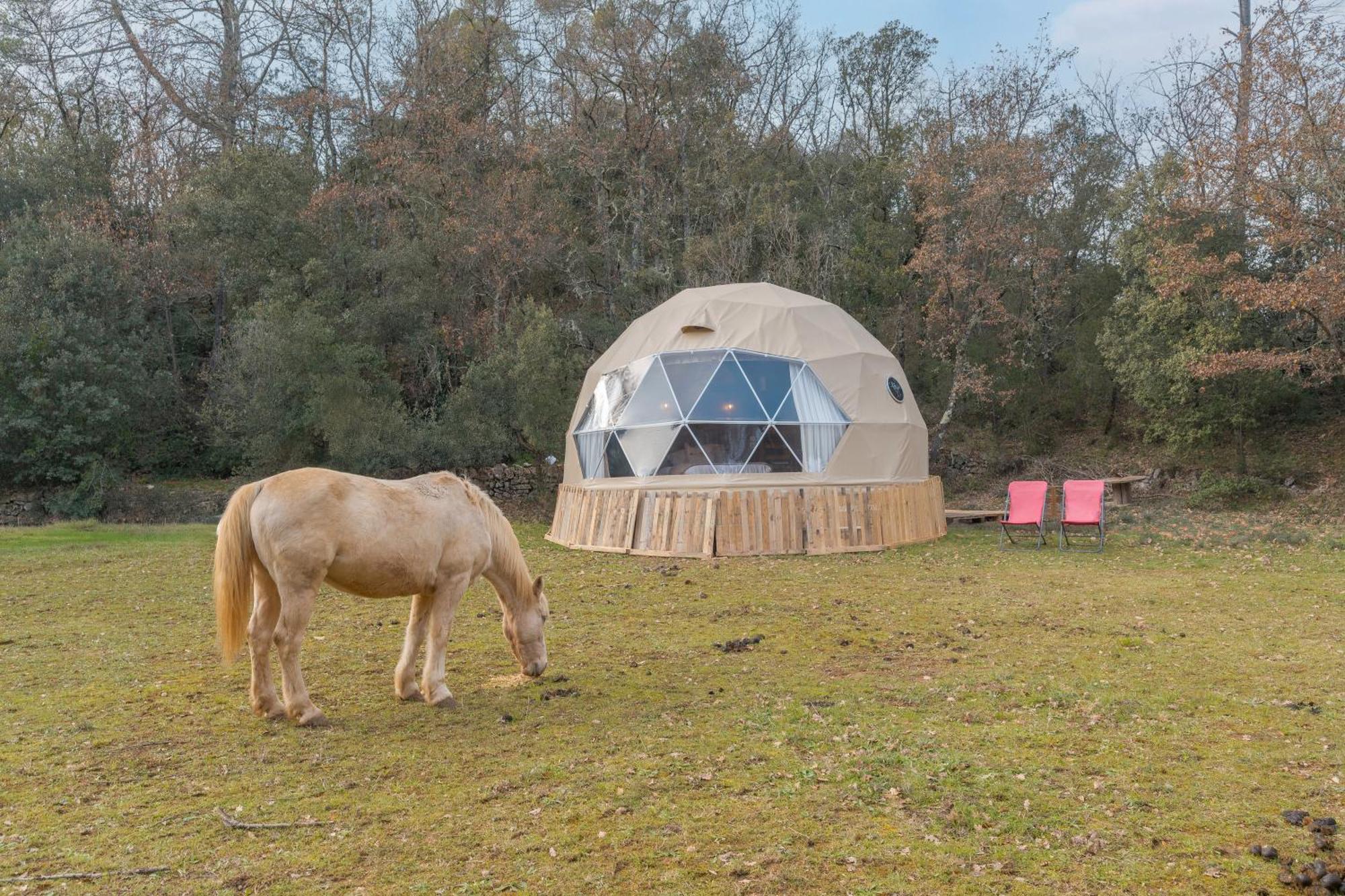 La Cabane Aux Chevaux Varages Eksteriør billede