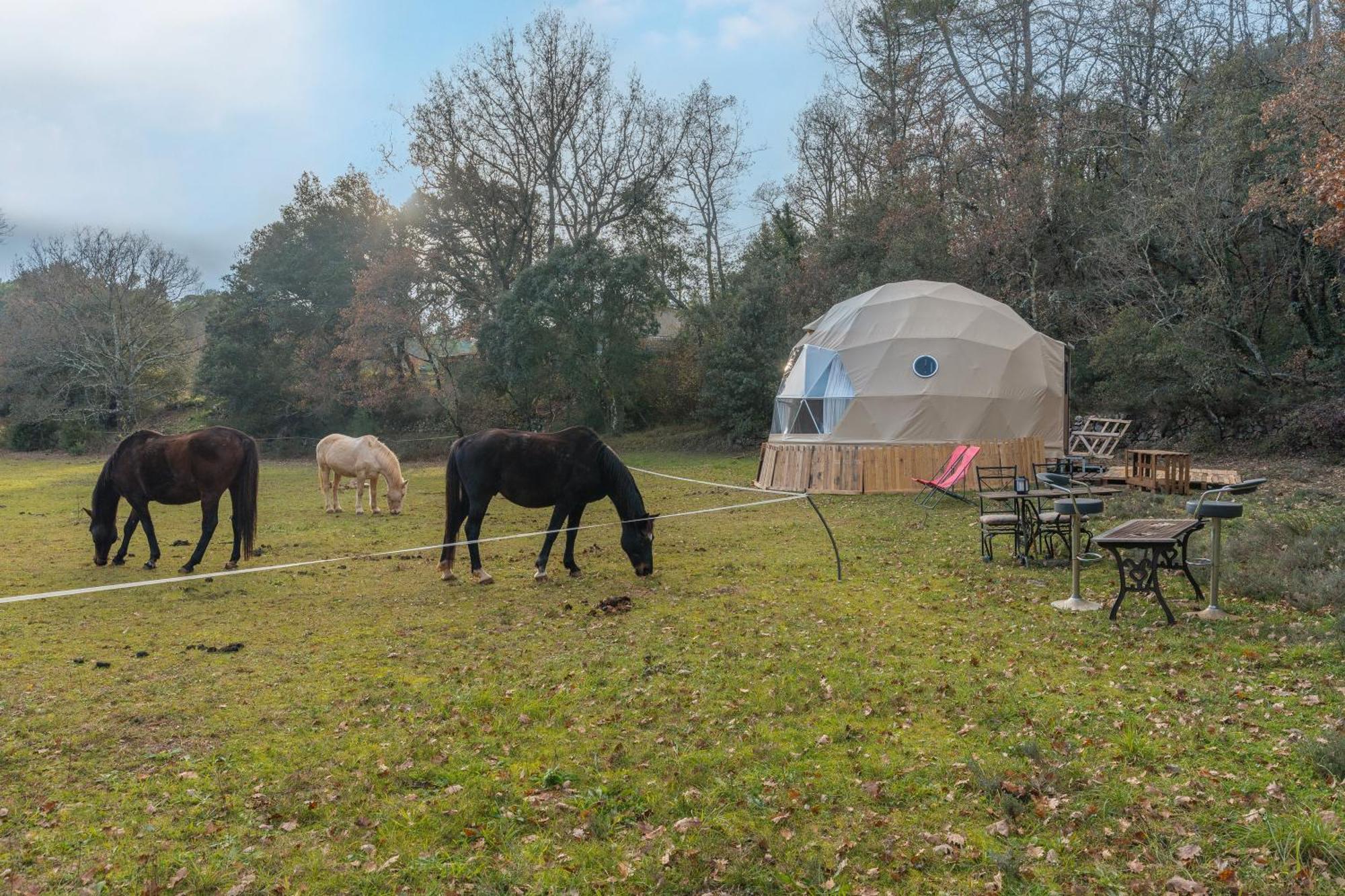 La Cabane Aux Chevaux Varages Eksteriør billede